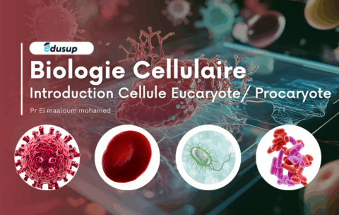 Biologie Cellulaire - 1